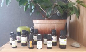Formation Aromathérapie avec Shantyoga