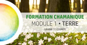 Formation Chamanique - cycle Tilleul M1 - avec Graine de Cosmos