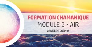 Formation Chamanique - cycle Magnolia M2 - avec Graine de Cosmos