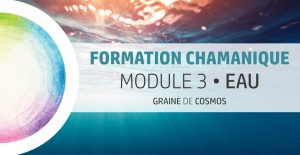 Formation Chamanique - cycle Magnolia M3 - avec Graine de Cosmos