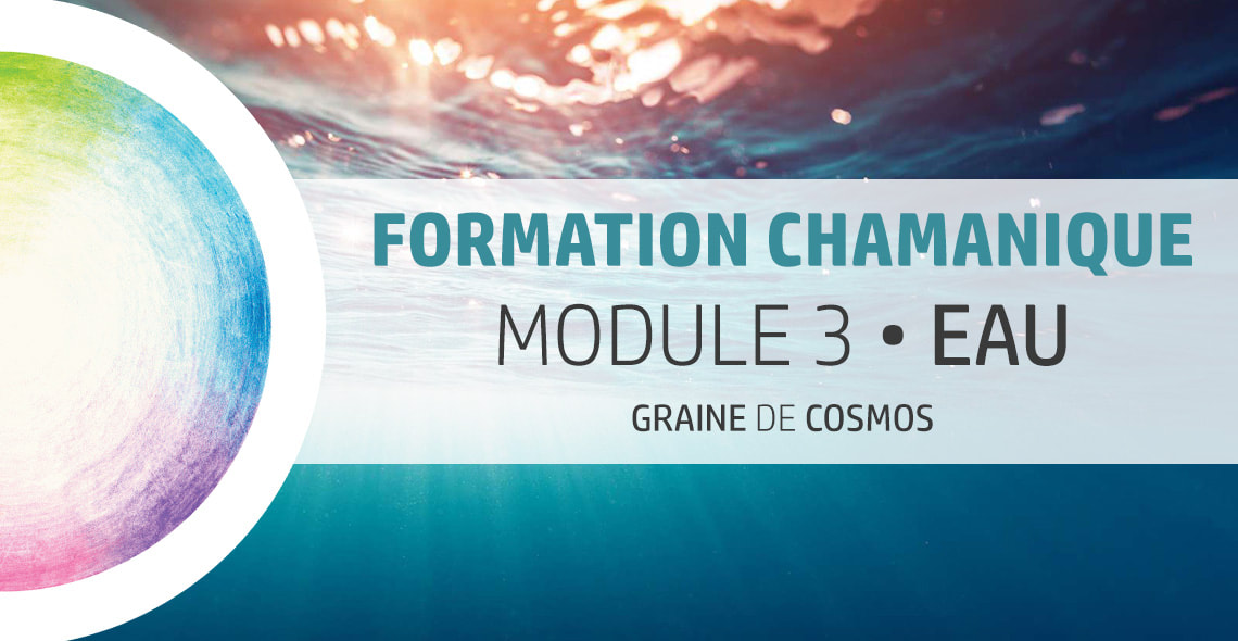formation Chamanique cycle 3