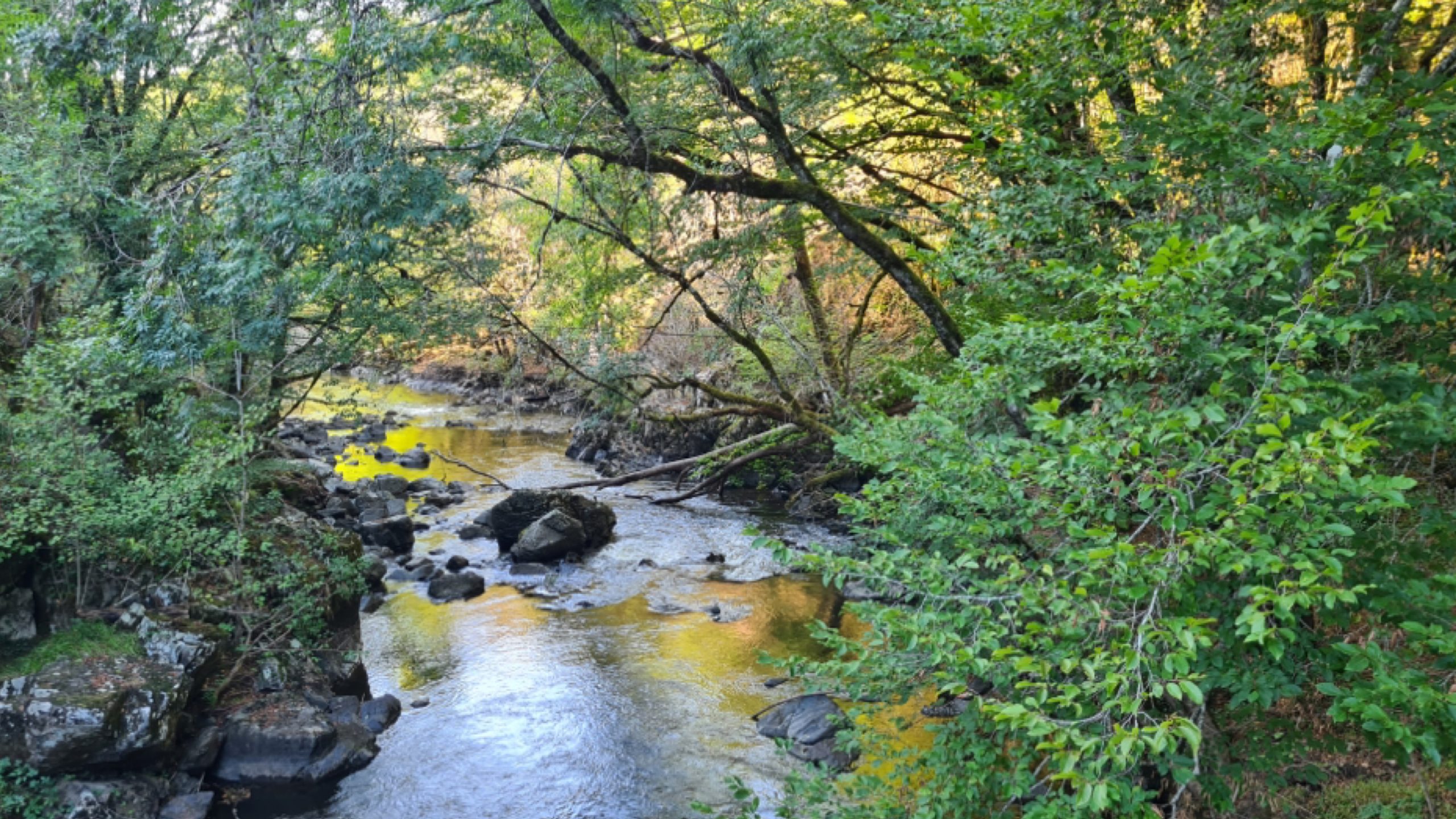 Rivière de l'Auvézère